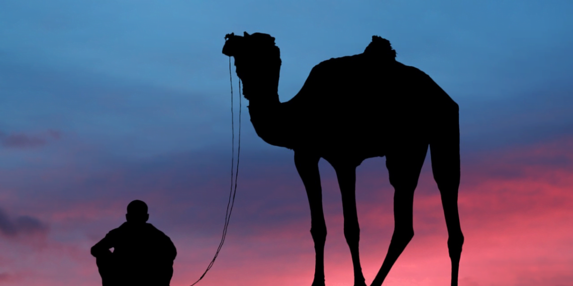 Masters of the Sands: Unveiling the Desert Survival Secrets of Camels