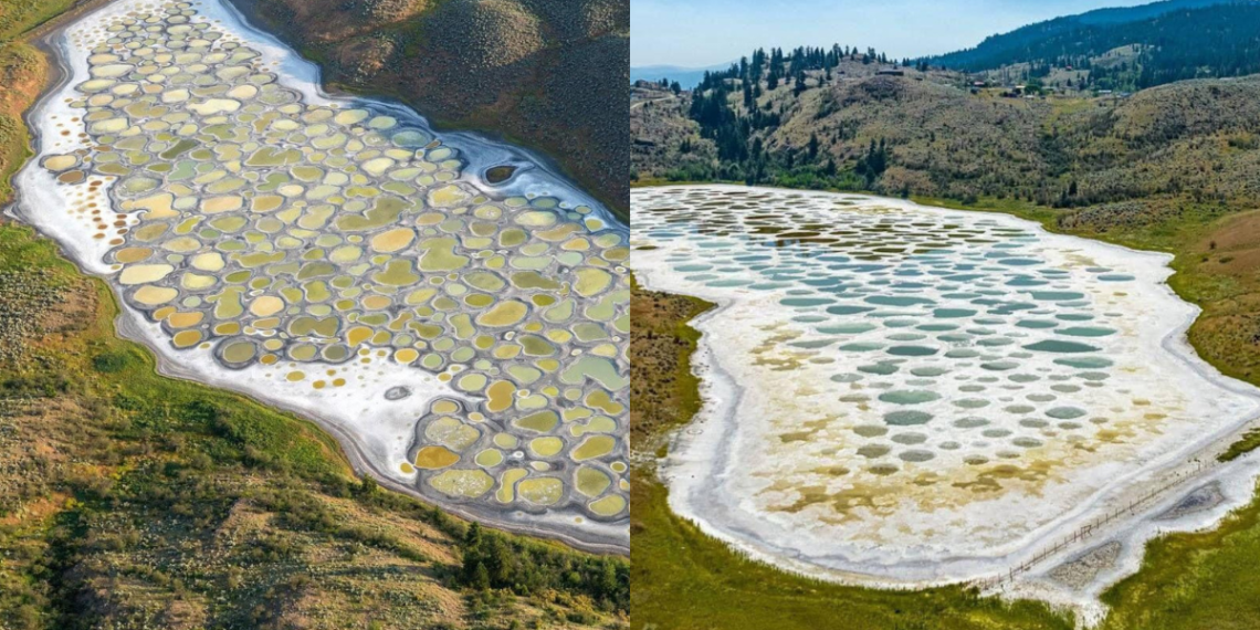 Spotted Lake