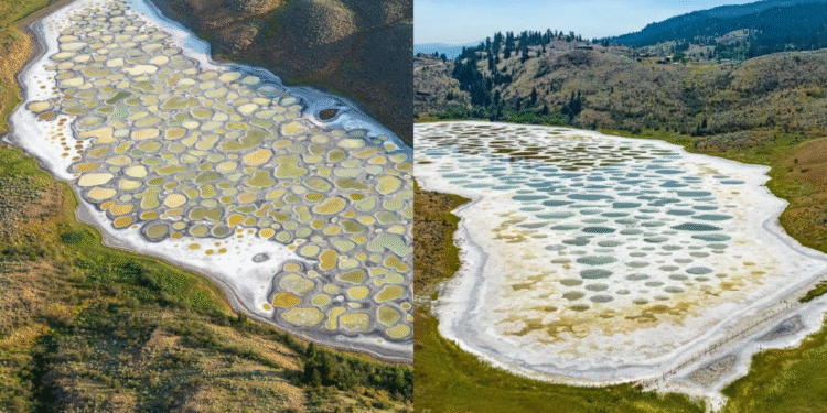 A Journey Through A Mind-numbing Spotted Lake