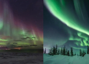 Top 10 Destinations to Witness the Northern Lights