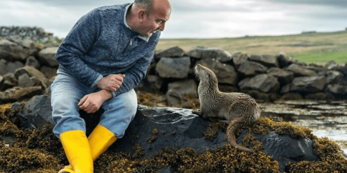 Friendship Between a Wild Otter and a Man from the Shetland Island