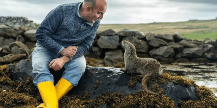 The Heartwarming Bond Between a Wild Otter and a Man from the Shetland Islands