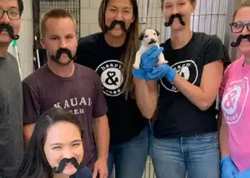 Meet Salvador Dolly: The Cutest Puppy with a Mustache