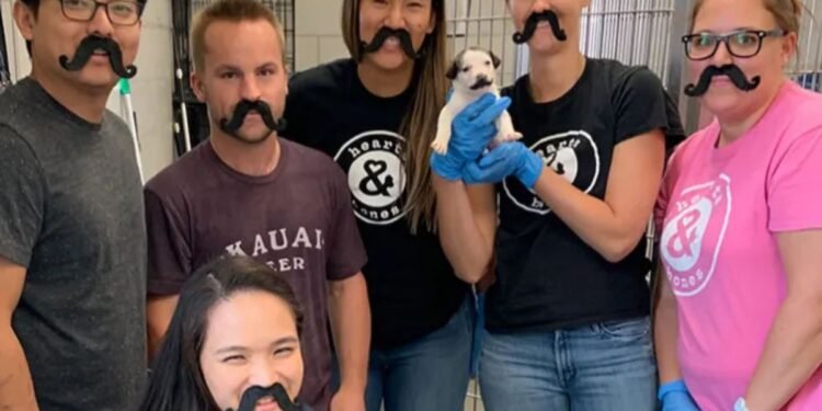 Meet Salvador Dolly The Cutest Puppy with a Mustache